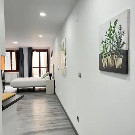 Apartamento Rosal Oviedo